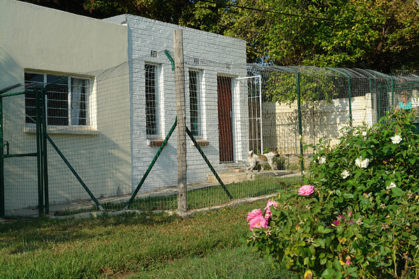 Accomodation